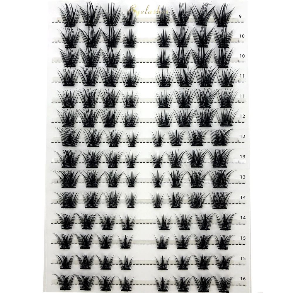Einzelne Cluster-Wimpernverlän – Eyelash Extension Single Lash Bewertung und Preis