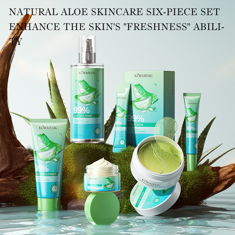 Aloe Vera Hautpflege-Set, rein – Under Eye Gel Bewertung und Preis